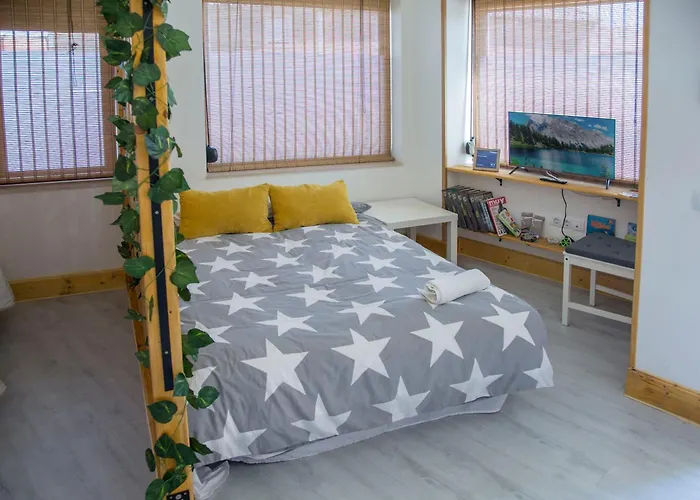 Apartment Estudio Mota