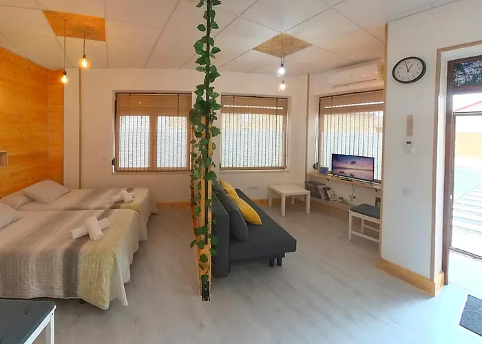 Apartment Estudio Mota *